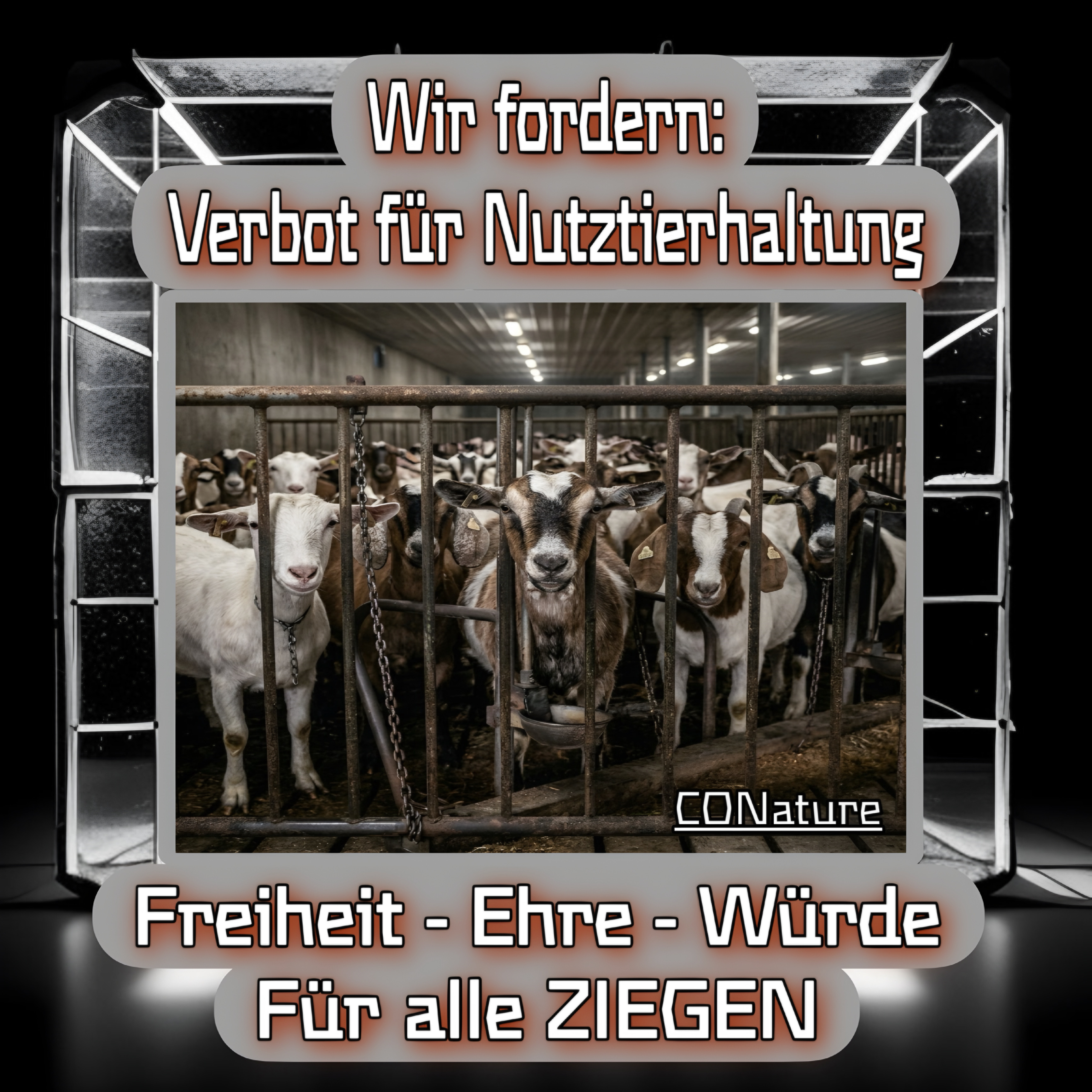 Ziege — Die Landschaftsgestalterin